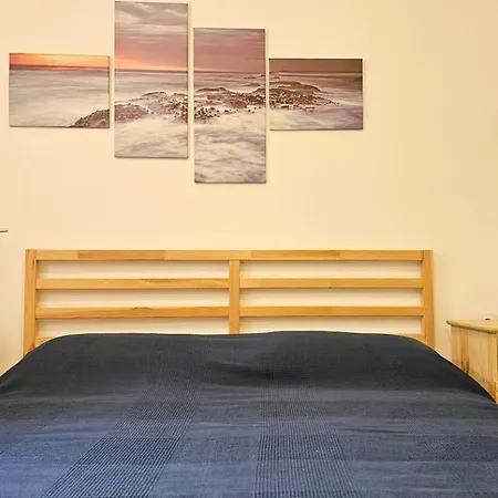 Blu Violati * Novigrad Istria